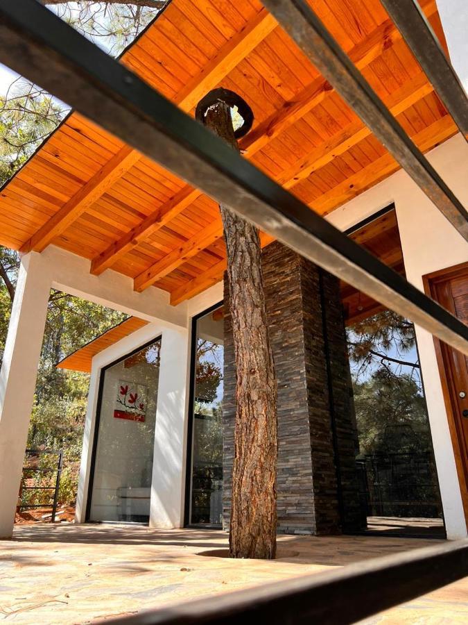 Cabana "Alexa", En El Corazon Del Bosque De Mazamitla Exteriér fotografie