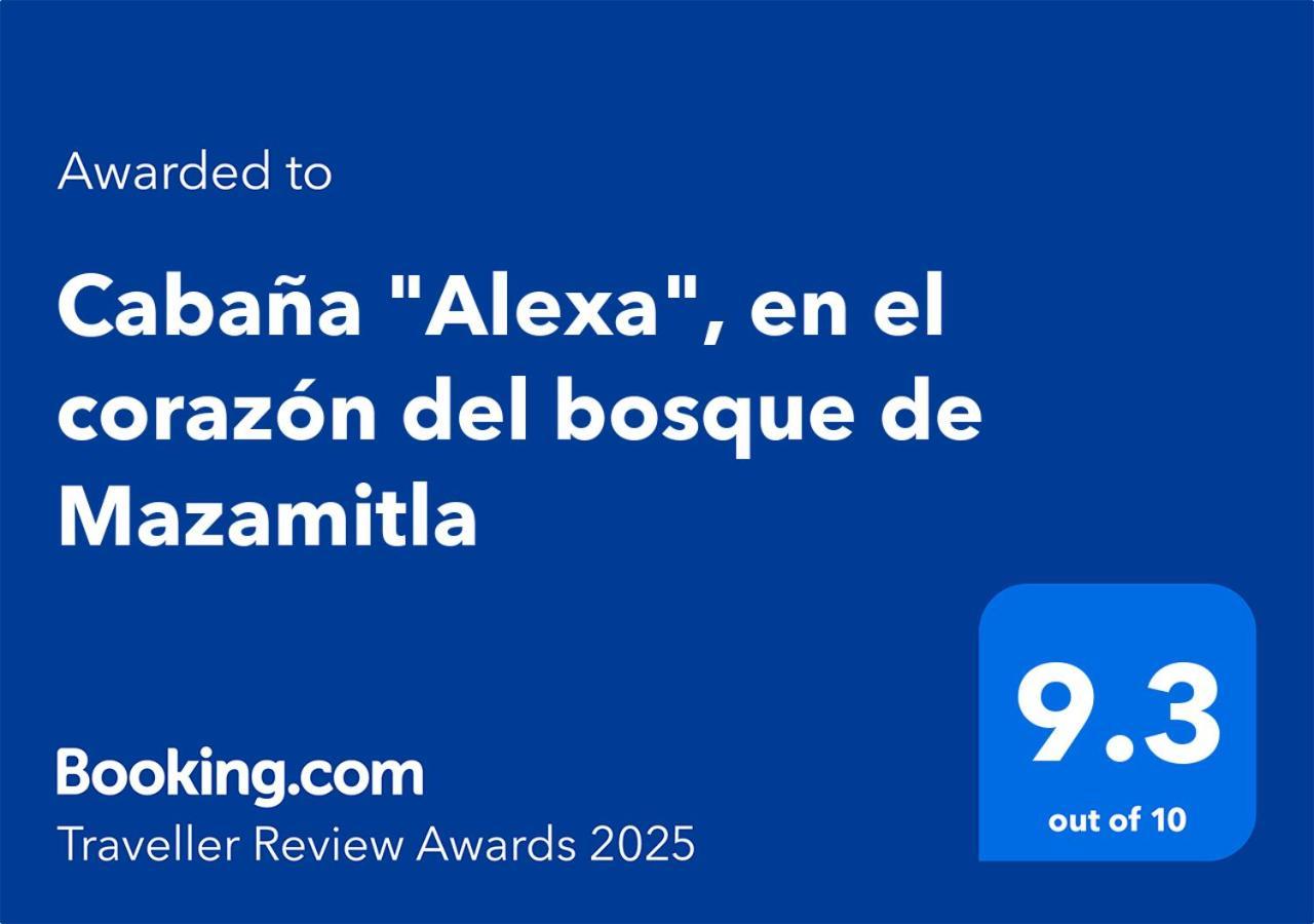 Cabana "Alexa", En El Corazon Del Bosque De Mazamitla Exteriér fotografie